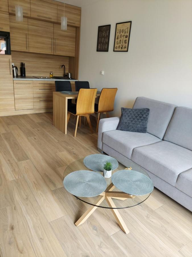 Apartament Nad Zalewem دجيفنوفيك المظهر الخارجي الصورة